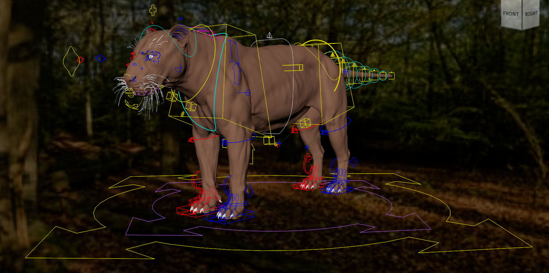 Tiger Rig