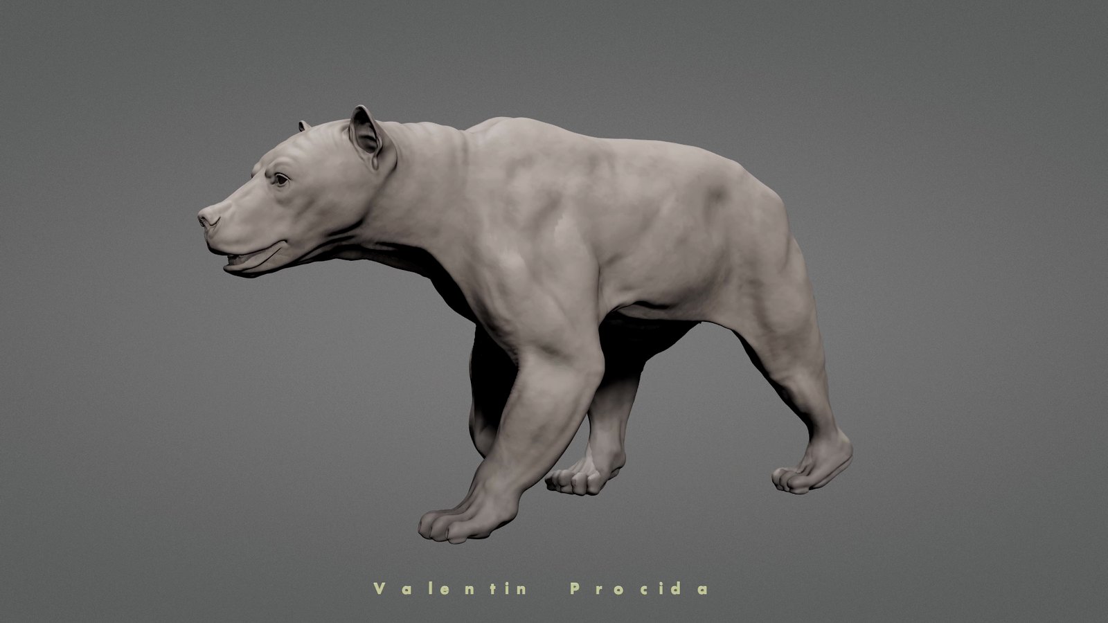 Bear, skin