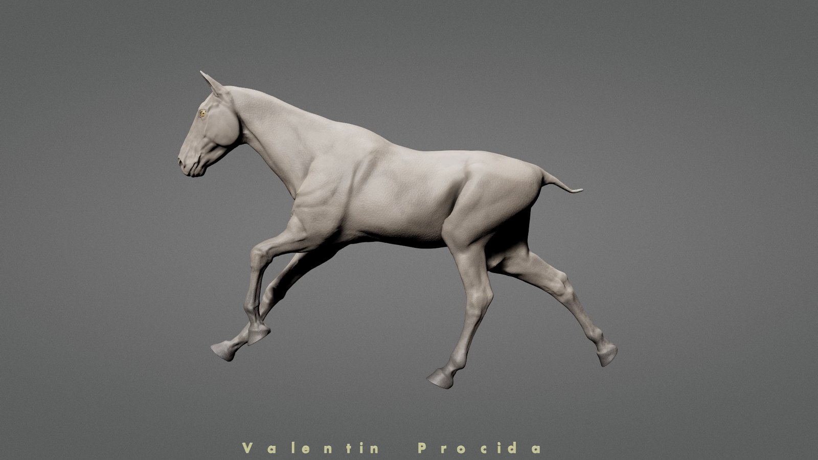 Horse, skin only