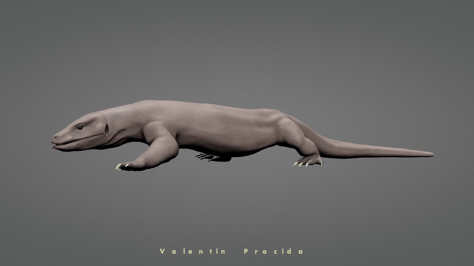 Komodo dragon, skin only