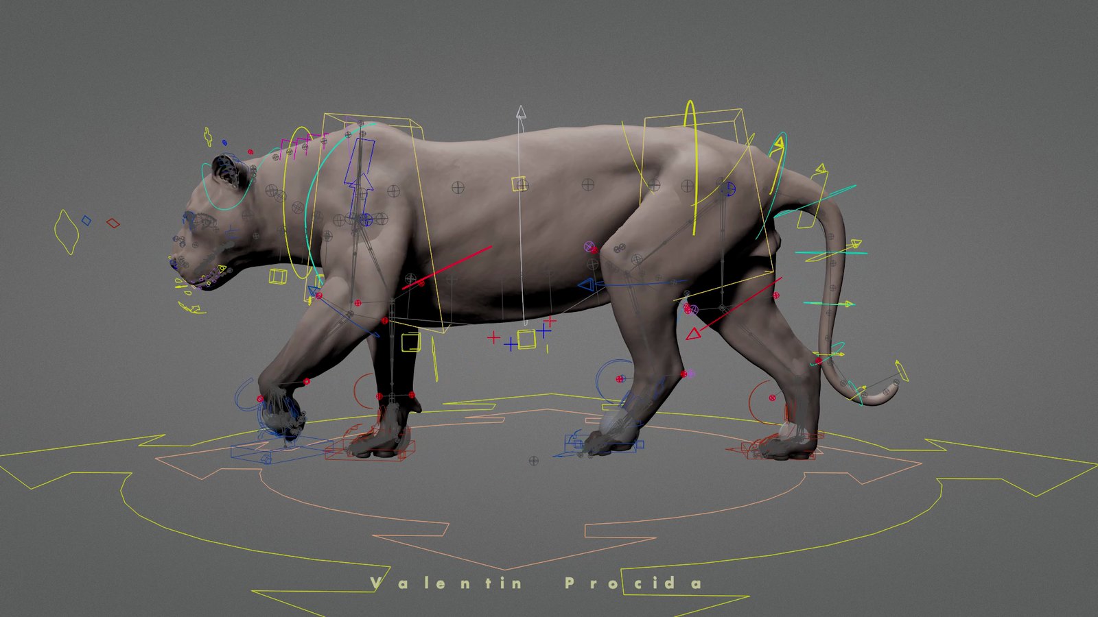Tiger rig with controls