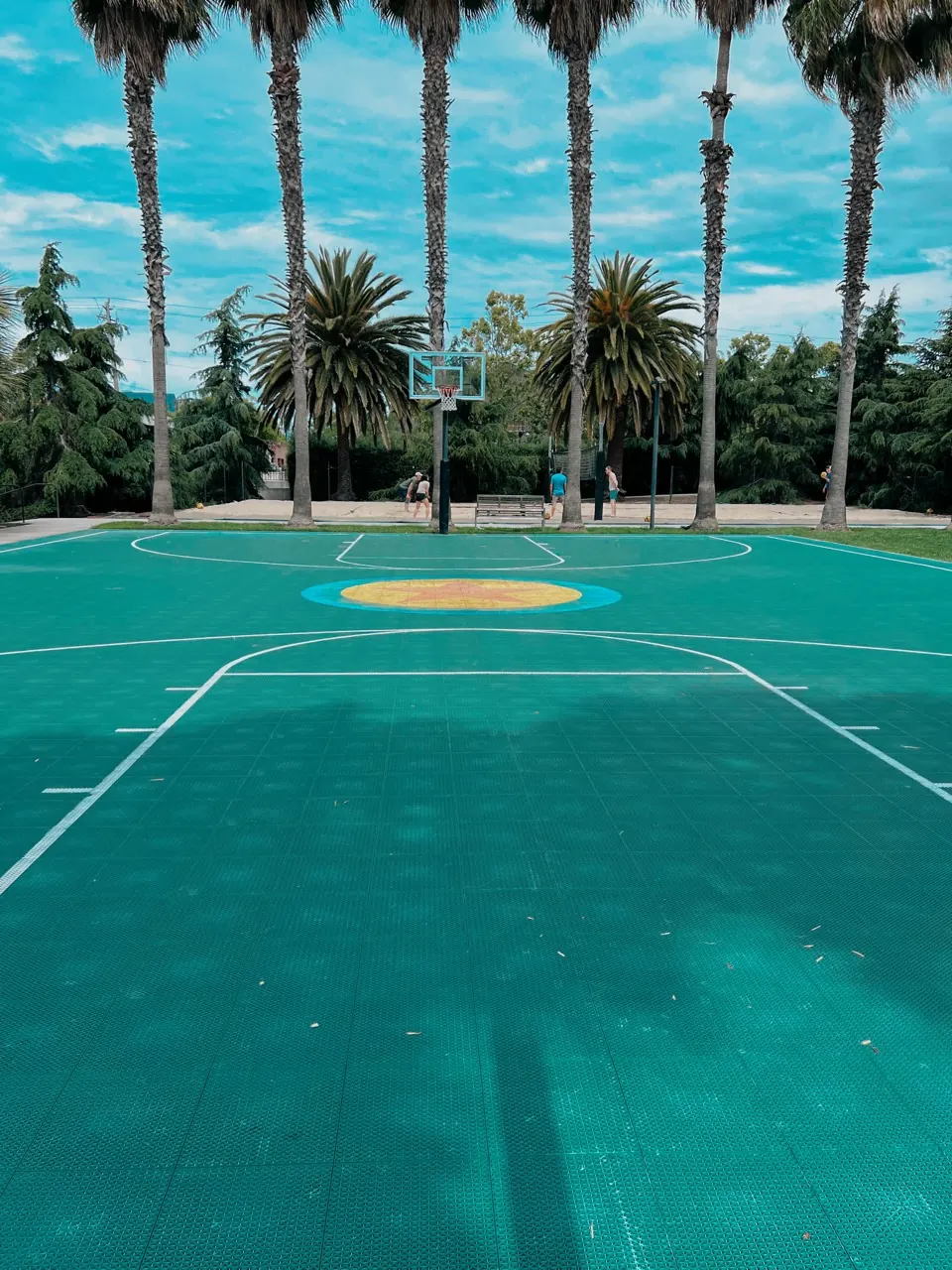 A basketball court framed by palm trees in the Bay Area